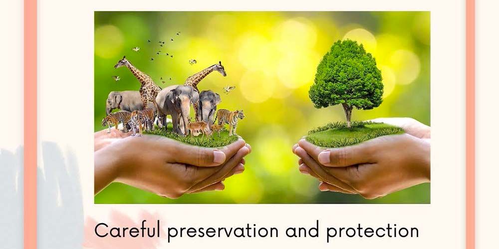 Take a Hint with Nature Lovers Club