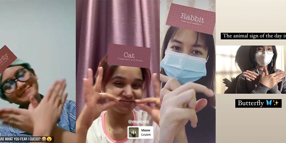 Sign Language Club Helps Find Your Animal Soulmate