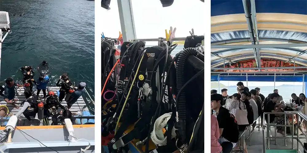 Exploring the Aquatic World with Diving Club