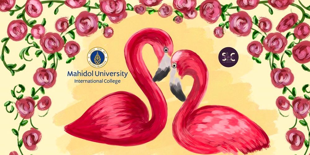 Which animal is your soulmate?