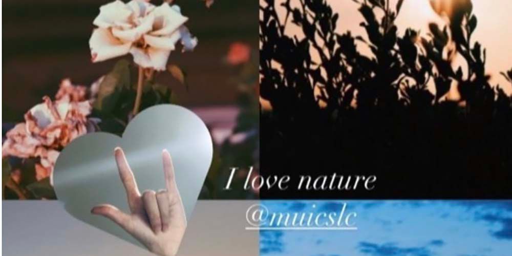 Do You Love Sign Language?